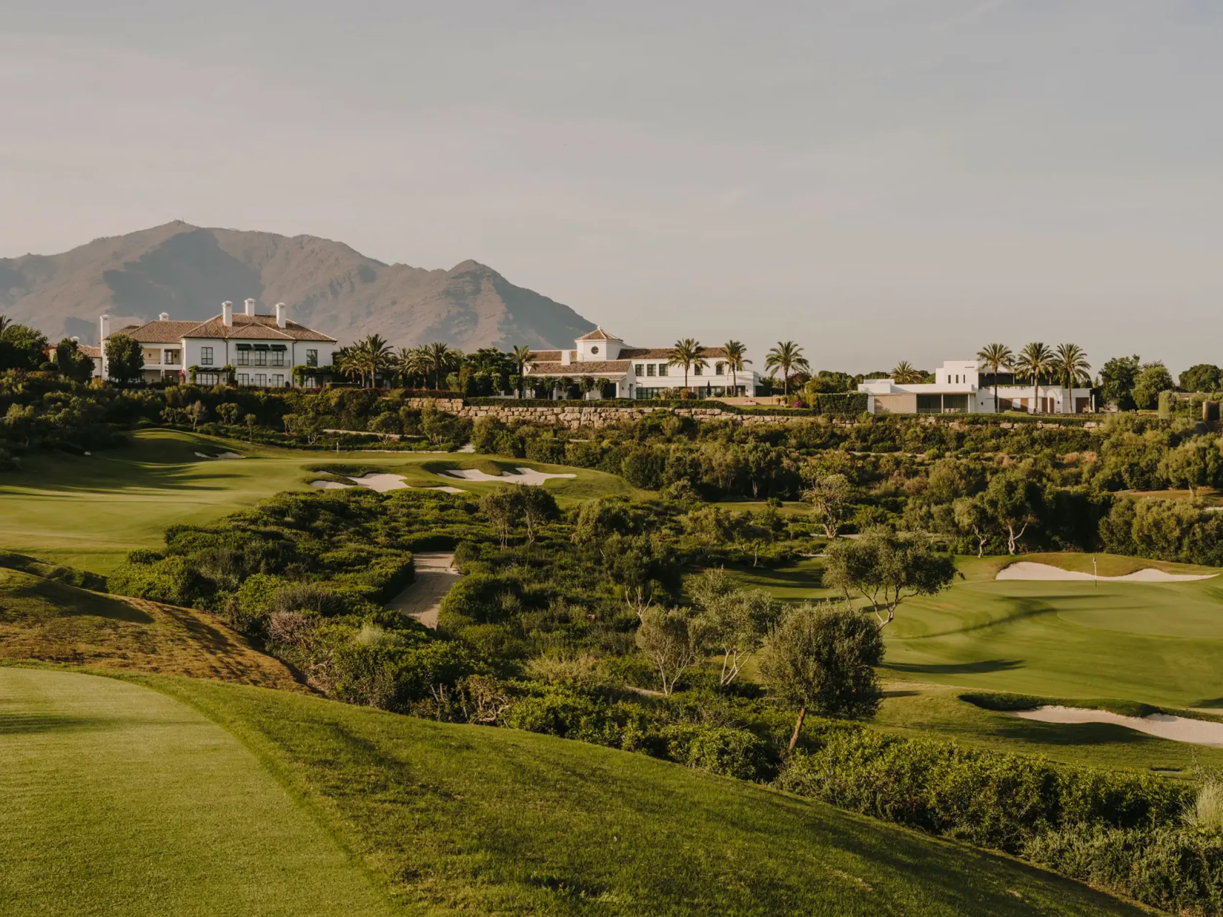 Capital Markets & Investment Advisory