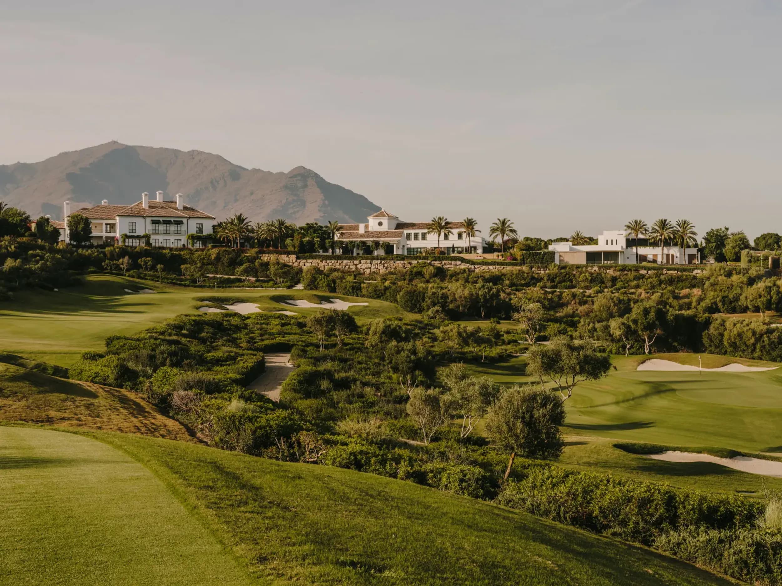 Capital Markets & Investment Advisory